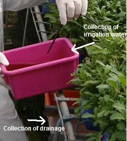 Sampling irrigation water and drainage